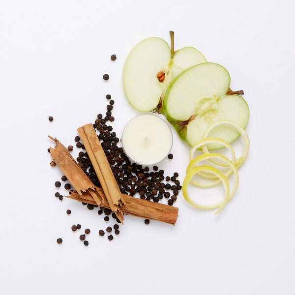 Fh21 holidayspice v0439 a