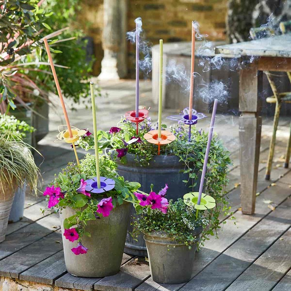 Sm19 p93279 p93044 b r3