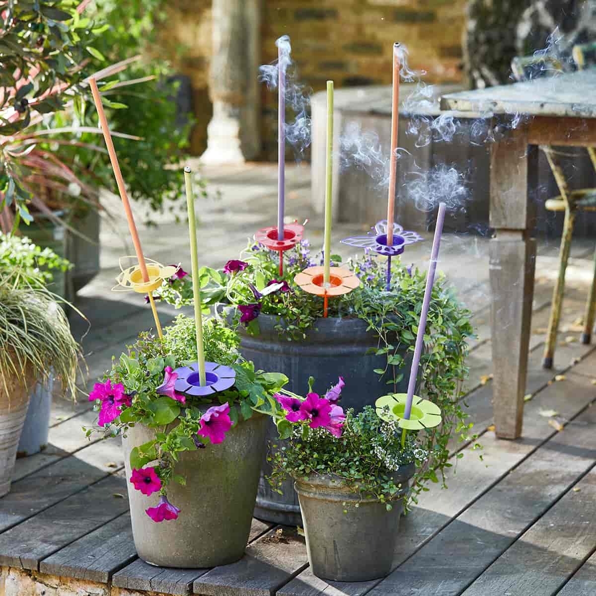 Sm19 p93279 p93044 b r3