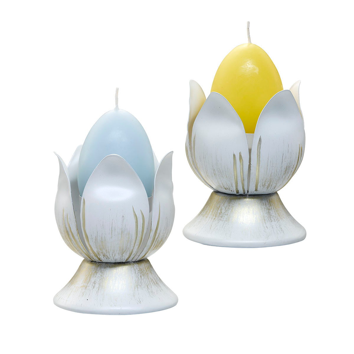 Sm20 p93504 p86062 a s7