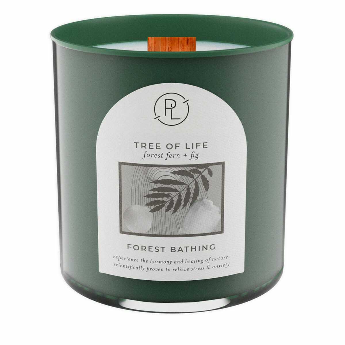 1 sp24 g1112112 cgi 1