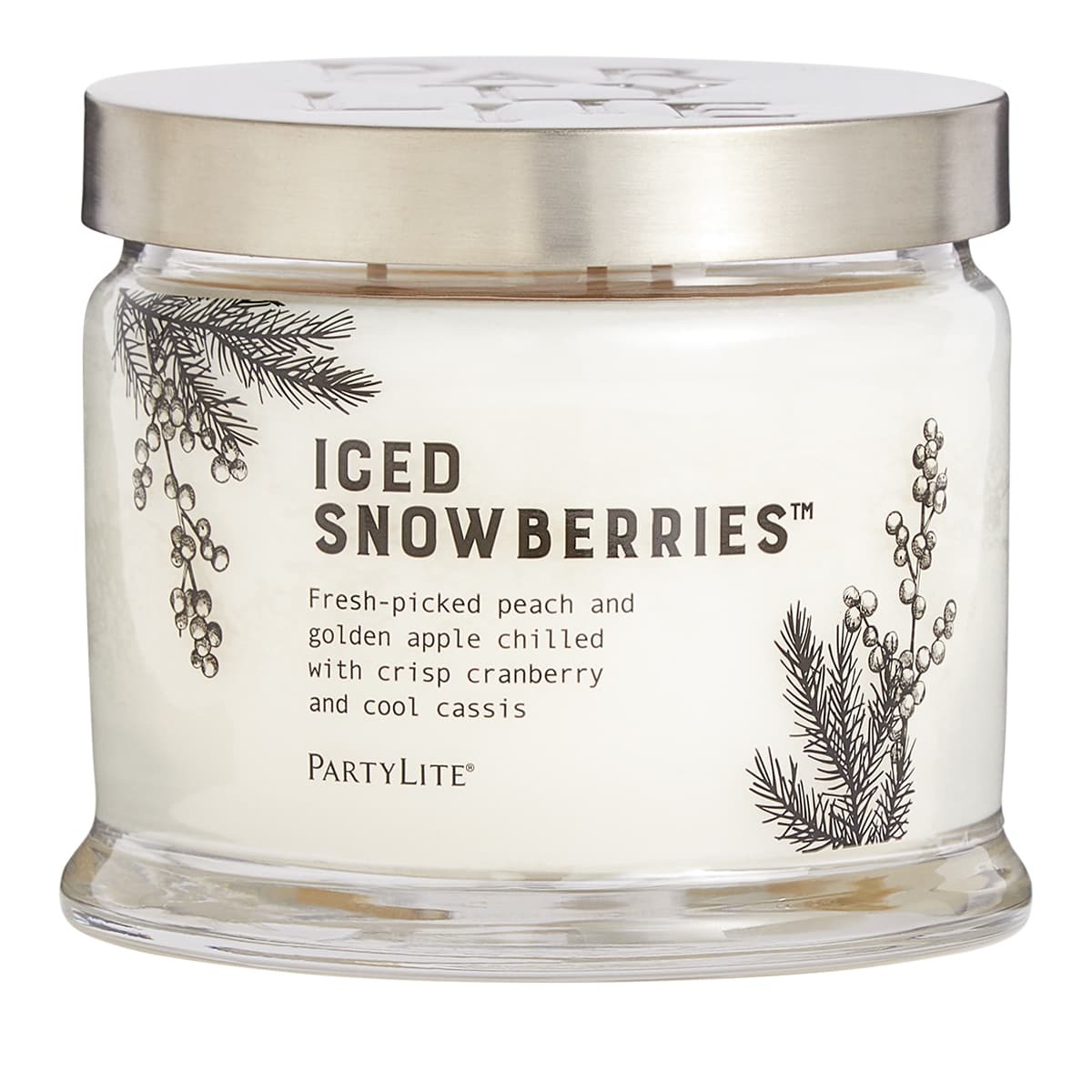 Fh22 icedsnowberries g73f123 1