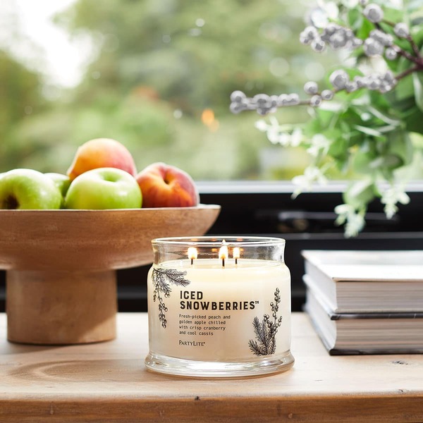 Fh22 icedsnowberries g73f123 3