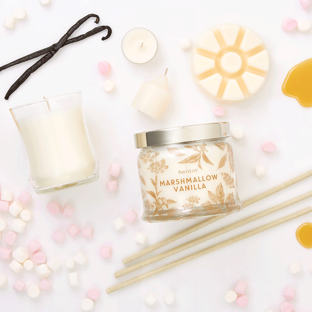 G73c900 landscape sp18 fh18 1