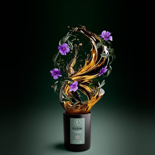  2 fh23 g1102108 cbd b